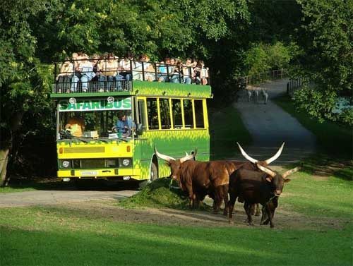 Zoo Safari W Czechach