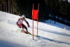 Eliminacje do Amatorskich Mistrzostw Polski w narciarstwie zjazdowym