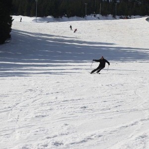 img_0639