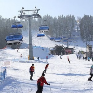 img_9503